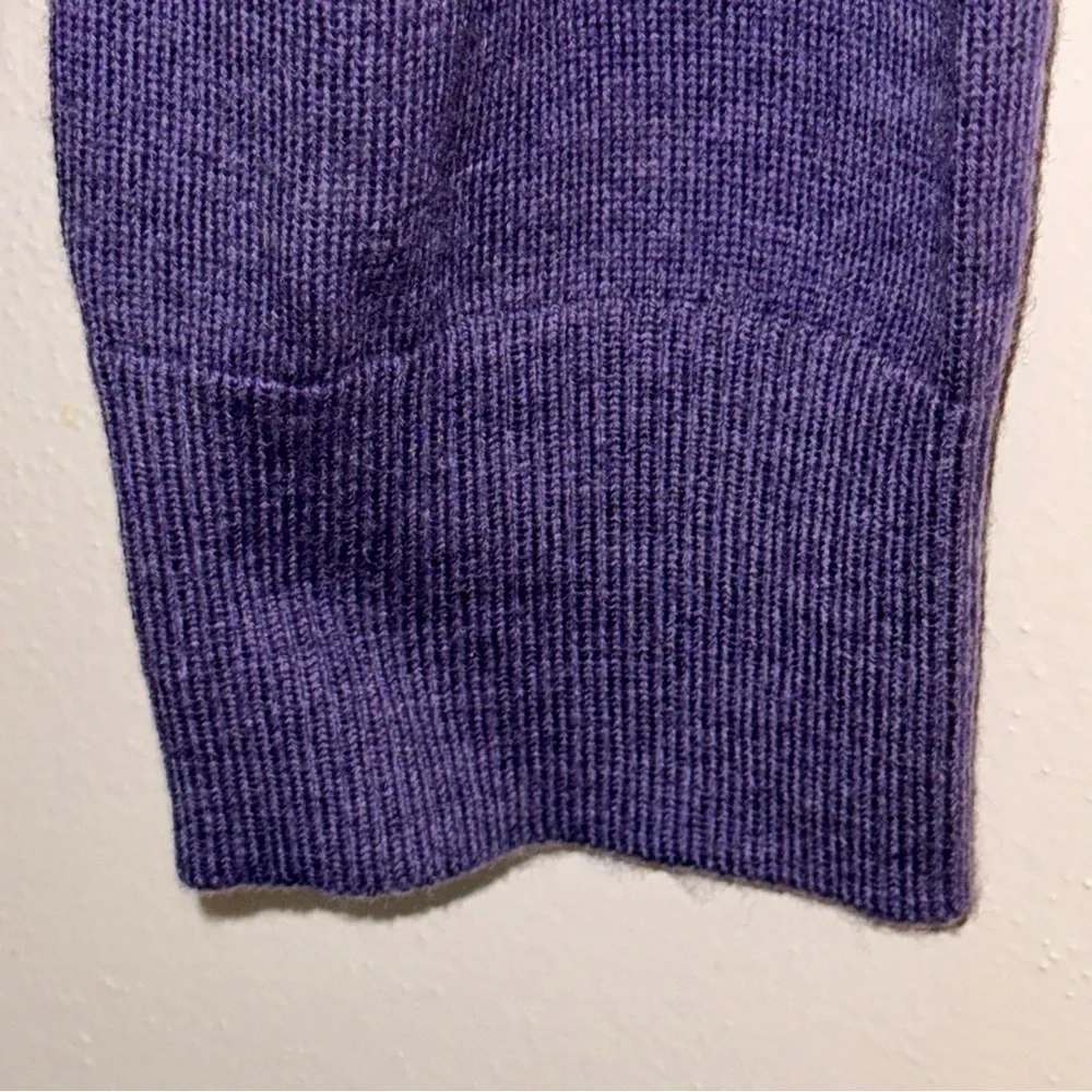 Gap Extra Fine Merino Wool Men’s V-neck Purple Sweater Size Extra Large